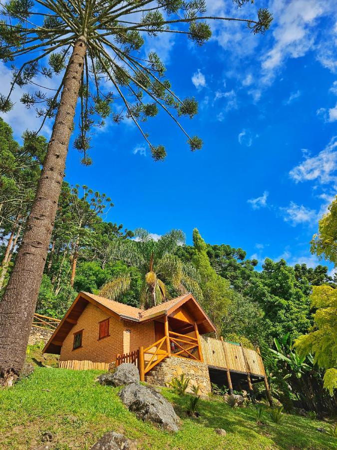 Chales Araucaria E Manaca Сао Бенто до Сапукай Екстериор снимка