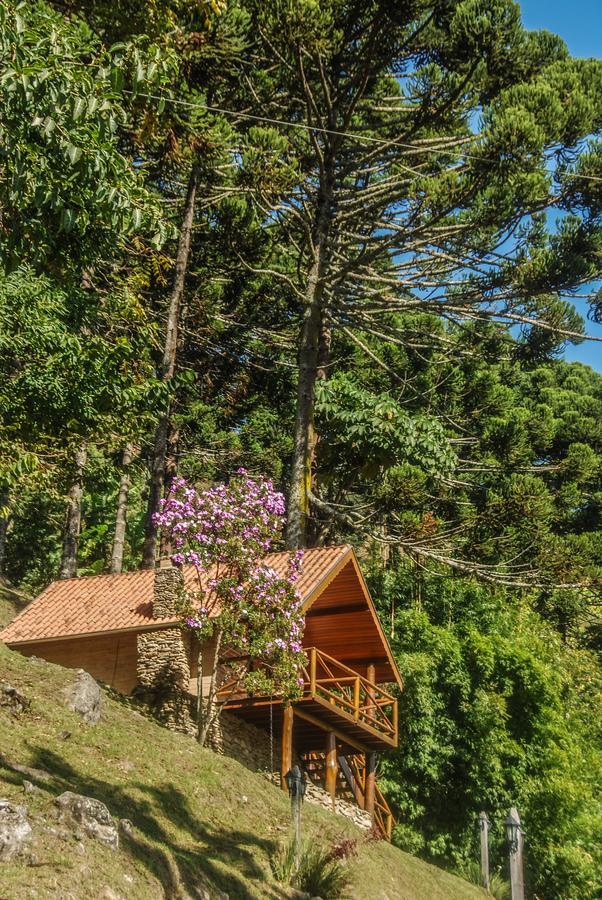 Chales Araucaria E Manaca Сао Бенто до Сапукай Екстериор снимка
